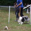 foire-haricots 2011-09-17et18